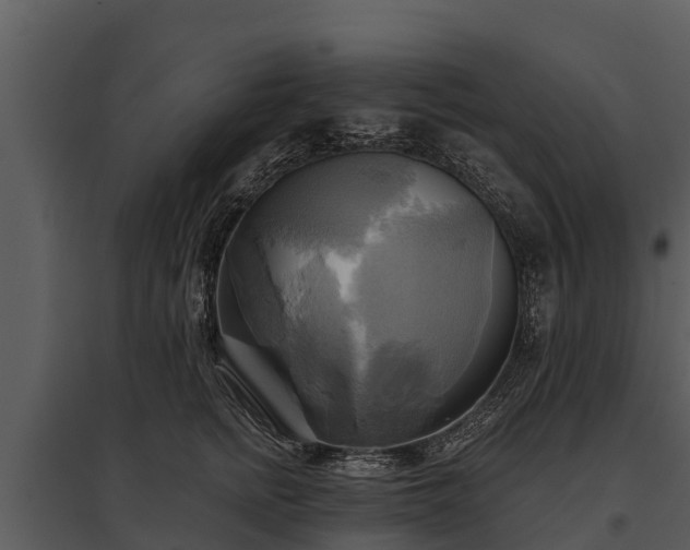 X0000095680758200801151125