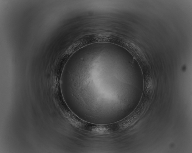 X0000095680759200801151125
