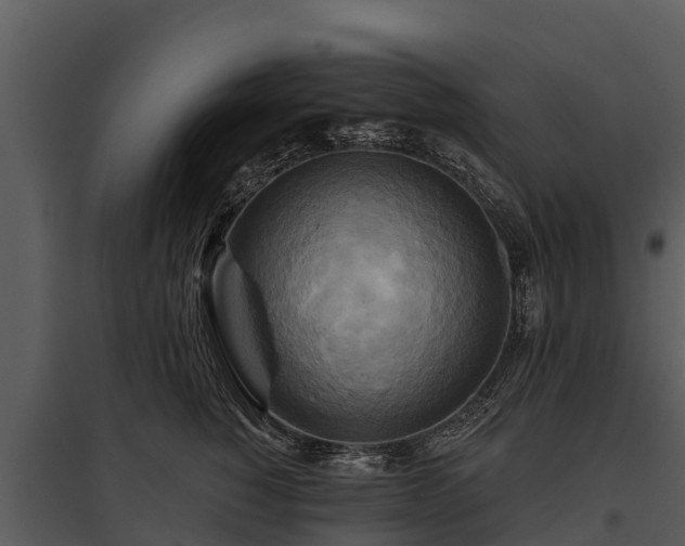 X0000095680760200801151125