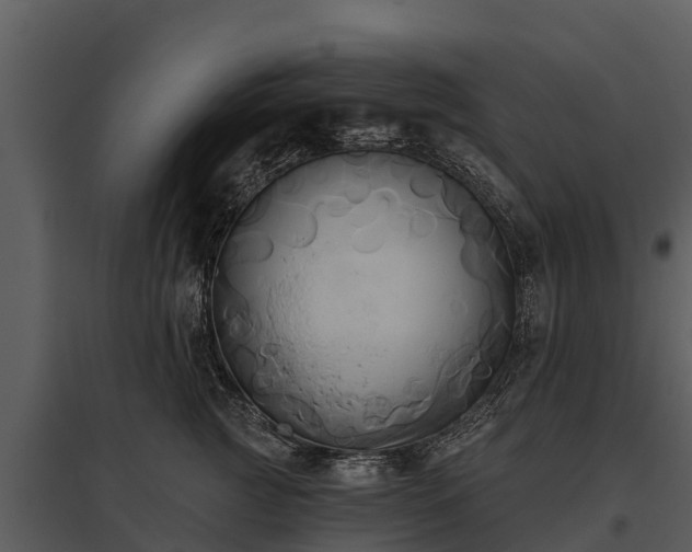 X0000095680761200801151125