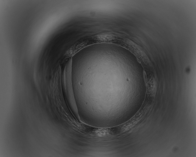 X0000095680762200801151125