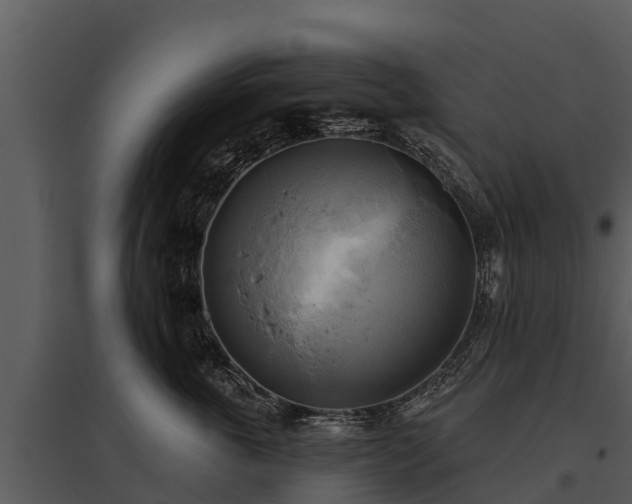 X0000095680763200801151125