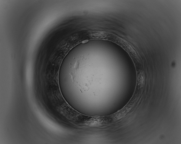 X0000095680764200801151125