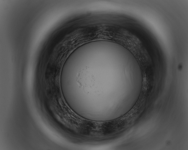 X0000095680765200801151125