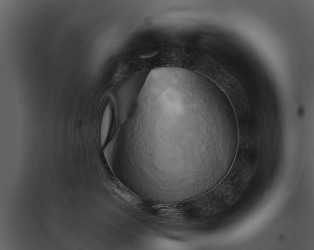 X0000095680766200801151125