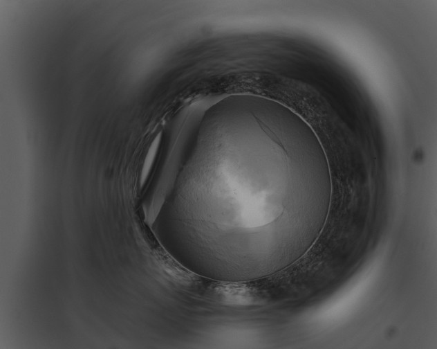 X0000095680767200801151125