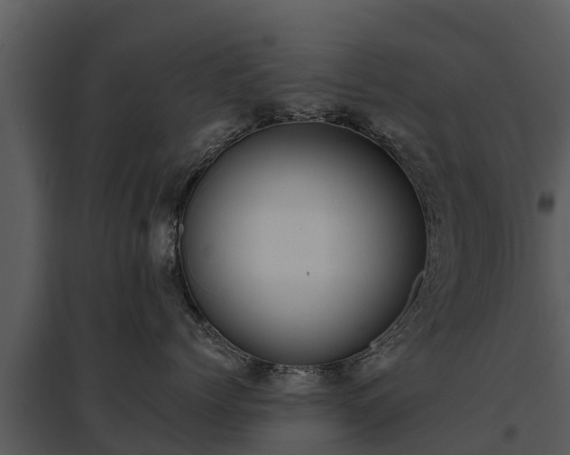 X0000095680768200801151125