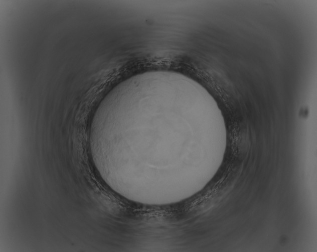X0000095680769200801151125