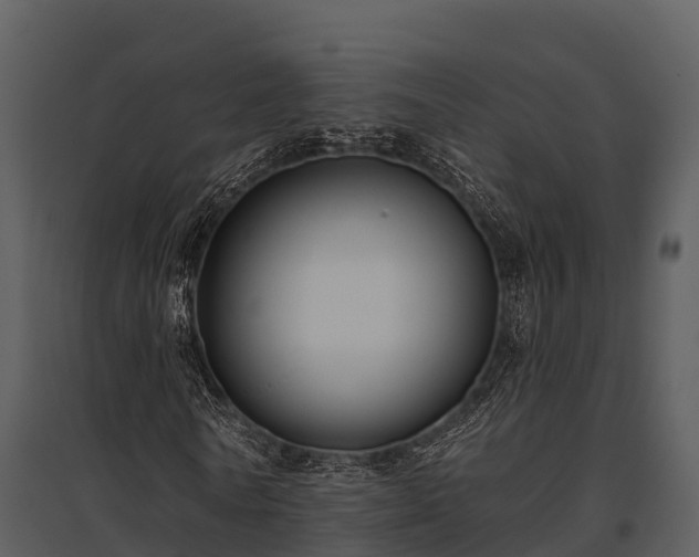 X0000095680770200801151125