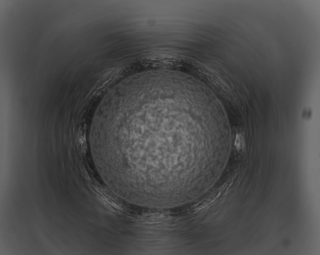 X0000095680771200801151125