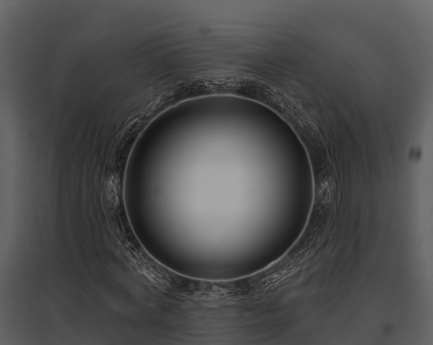 X0000095680772200801151125