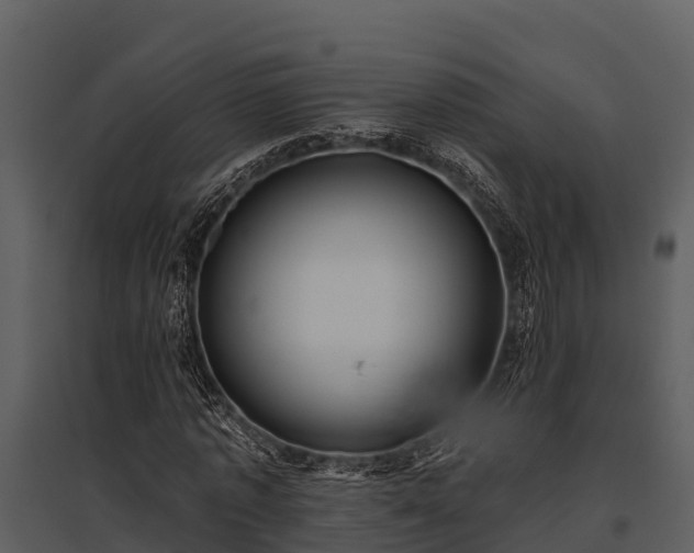 X0000095680773200801151125