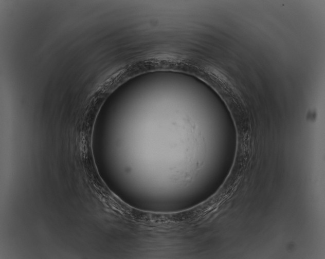 X0000095680774200801151125