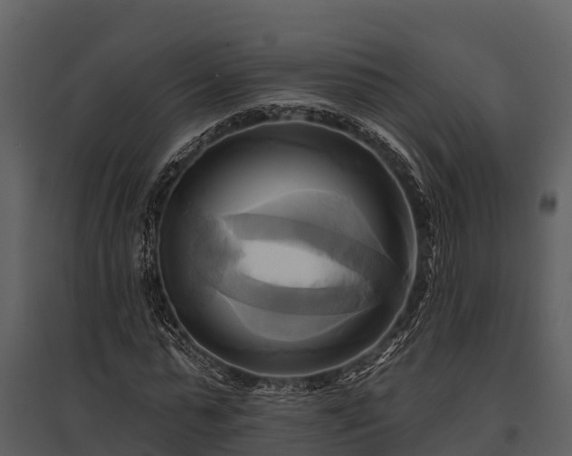 X0000095680775200801151125