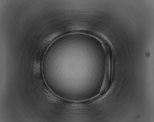 X0000095680777200801151125