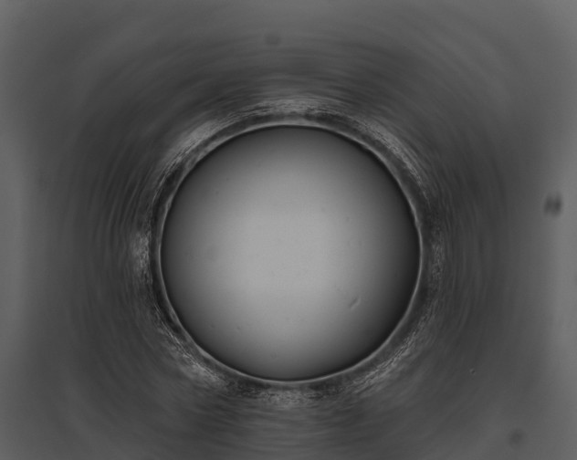 X0000095680778200801151125