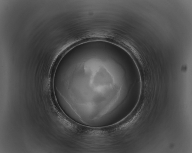 X0000095680779200801151125