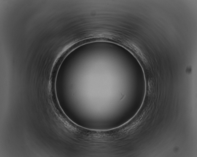 X0000095680780200801151125