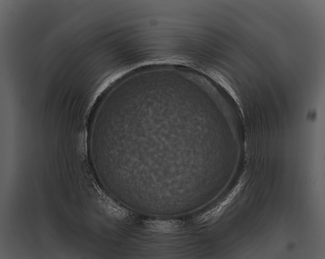 X0000095680781200801151125