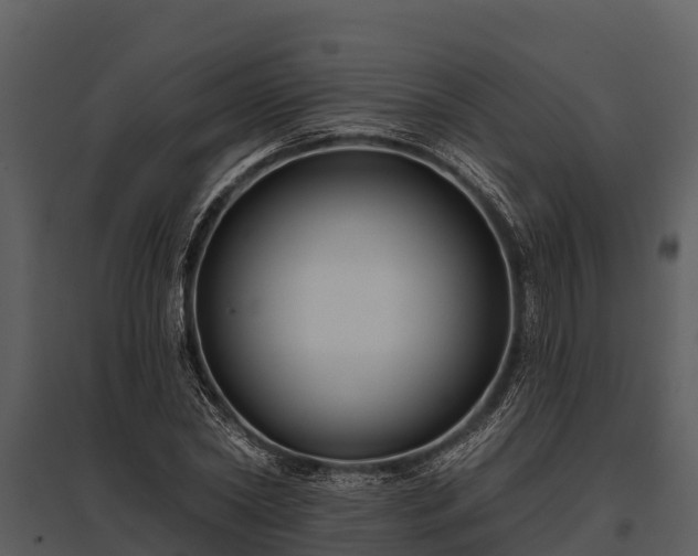 X0000095680782200801151124