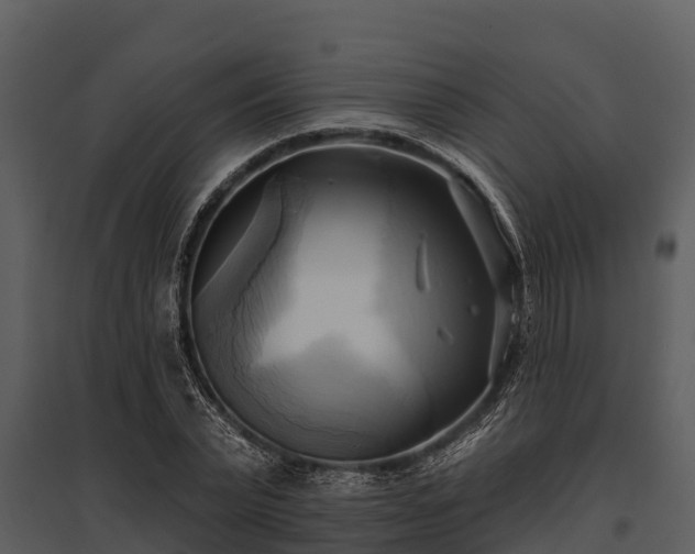 X0000095680783200801151124