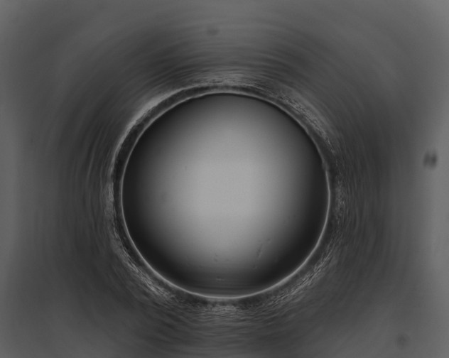 X0000095680784200801151124