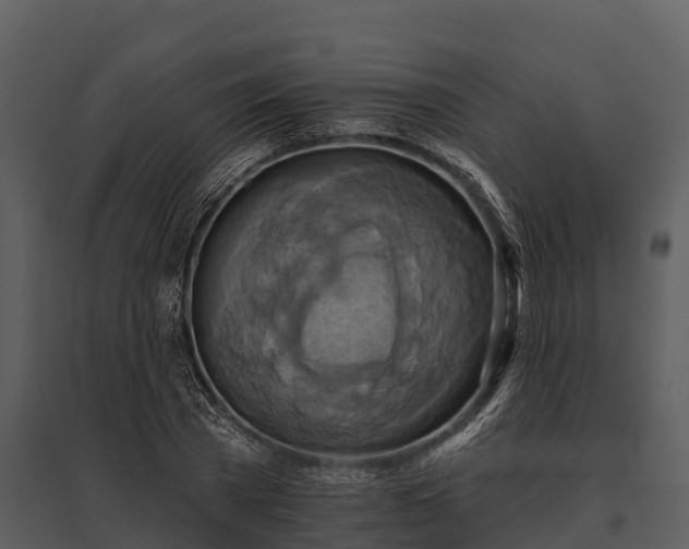 X0000095680785200801151124