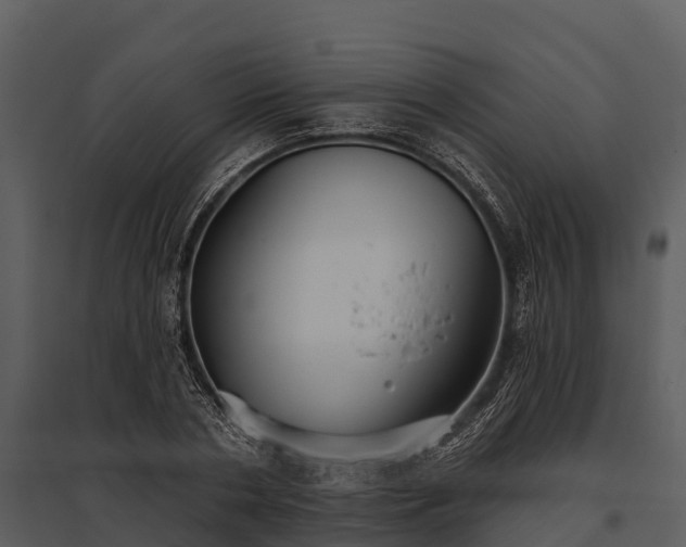 X0000095680786200801151124