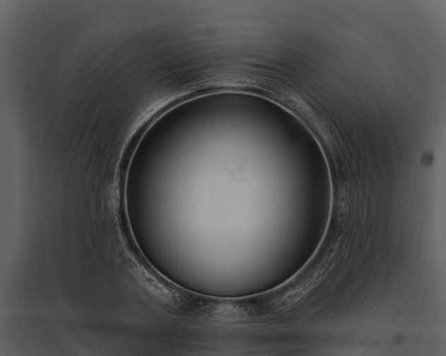 X0000095680787200801151124