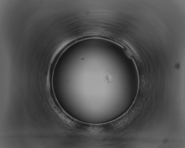 X0000095680788200801151124