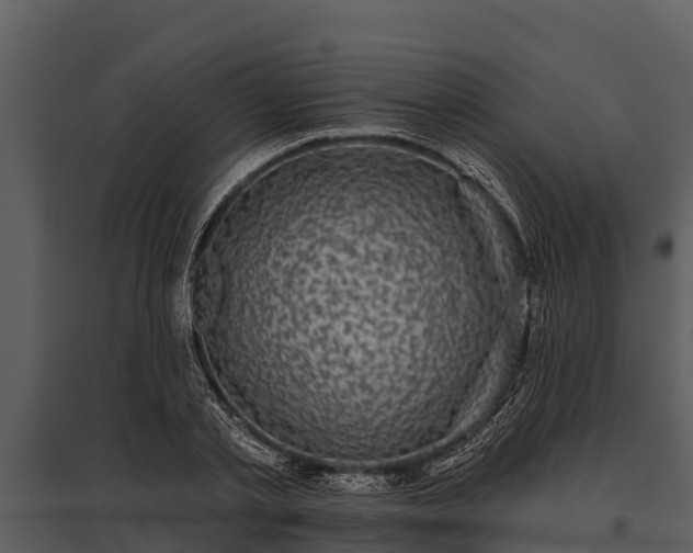X0000095680789200801151124