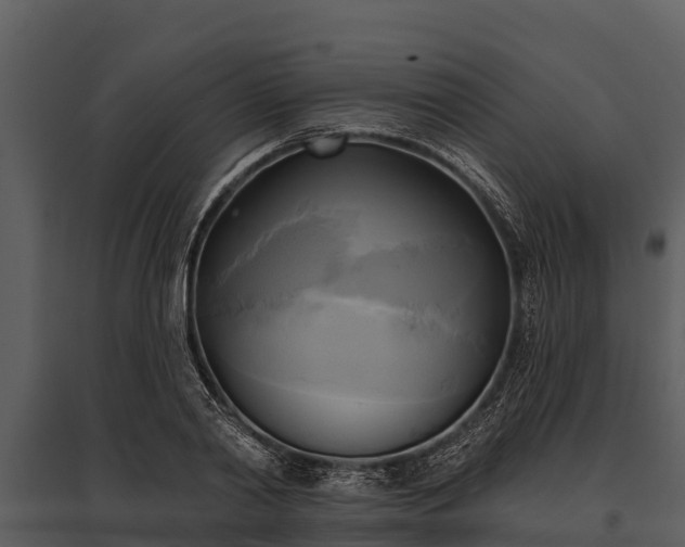 X0000095680790200801151124
