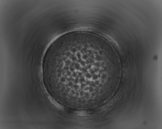 X0000095680792200801151124