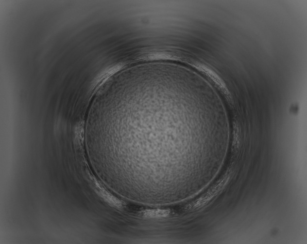 X0000095680793200801151124