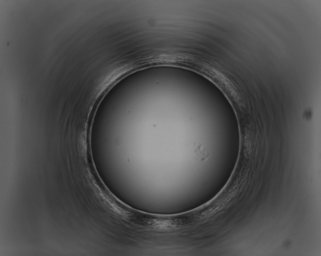 X0000095680794200801151124
