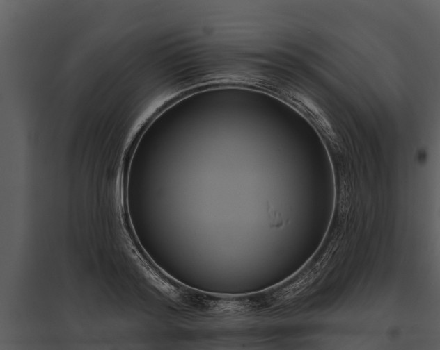 X0000095680796200801151124