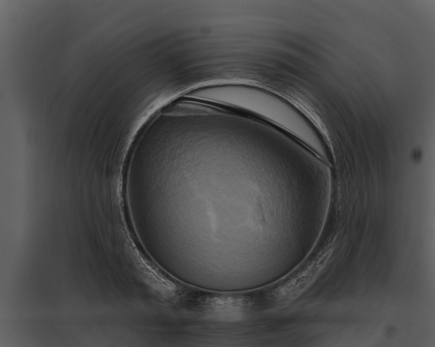 X0000095680797200801151124