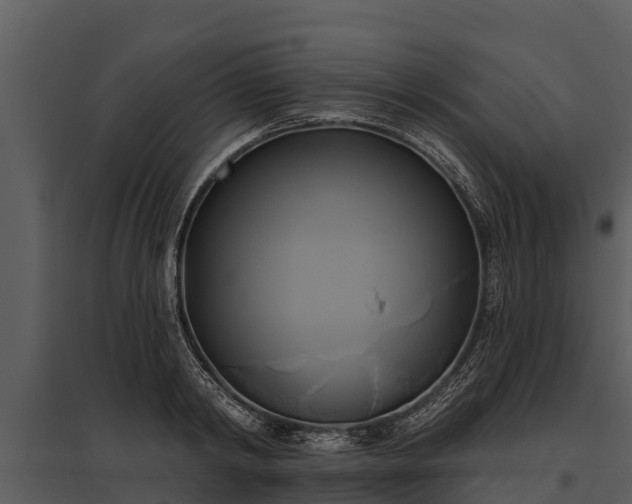 X0000095680798200801151124