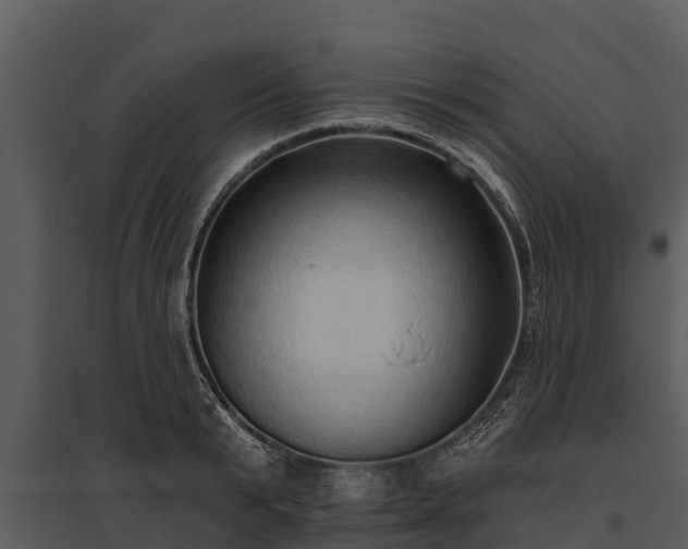 X0000095680799200801151124