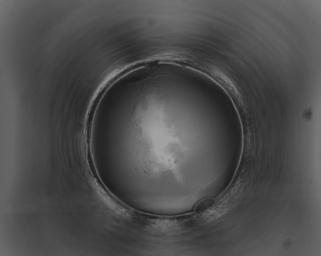 X0000095680800200801151124