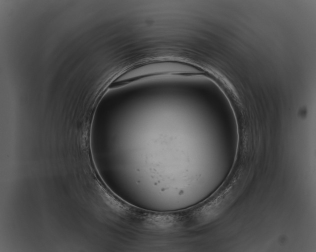 X0000095680801200801151124