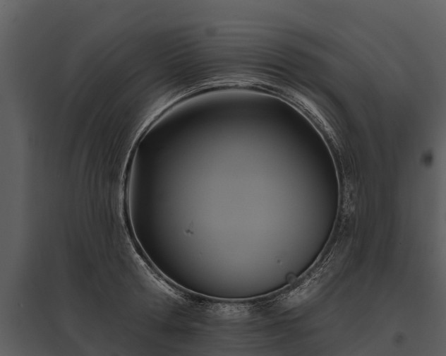 X0000095680802200801151124