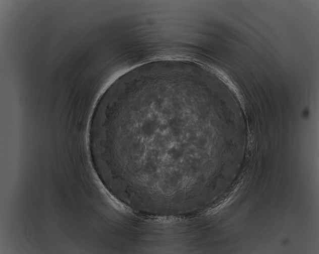 X0000095680803200801151124
