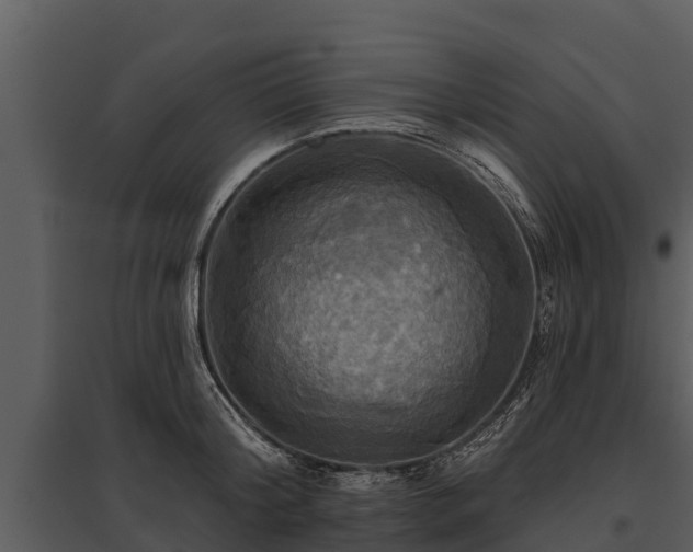 X0000095680804200801151124