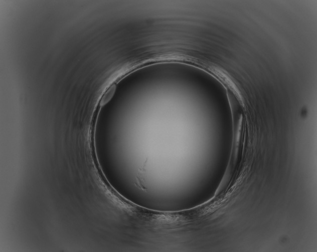 X0000095680805200801151124