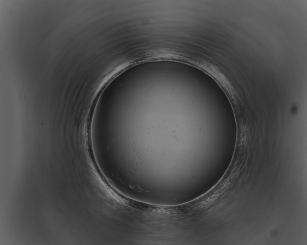 X0000095680806200801151124