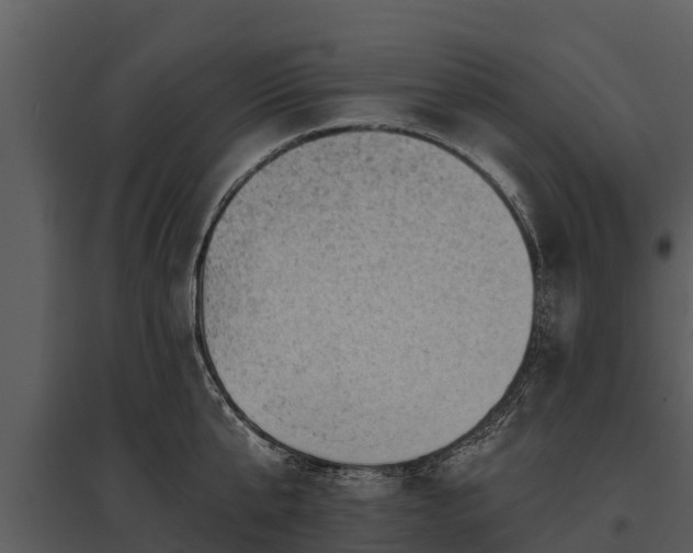 X0000095680807200801151124
