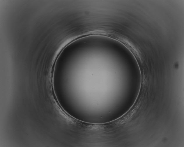 X0000095680808200801151124