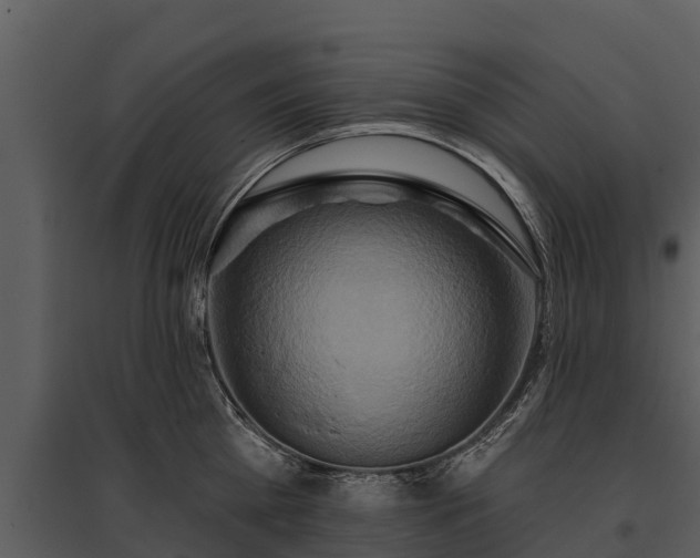 X0000095680809200801151124