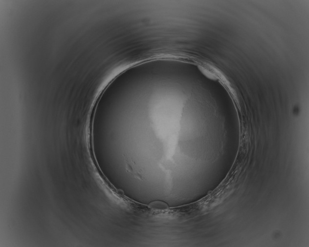 X0000095680811200801151124